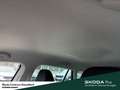 Skoda Kamiq Tour TSI DSG Infotainment-Paket Ausstattungs-Paket Grijs - thumbnail 15