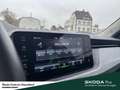 Skoda Kamiq Tour TSI DSG Infotainment-Paket Ausstattungs-Paket Grijs - thumbnail 18