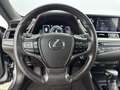 Lexus ES 300 300h Business Line | Carplay | Adaptive Cruise Con Gris - thumbnail 20