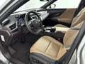 Lexus ES 300 300h Business Line | Carplay | Adaptive Cruise Con Gris - thumbnail 38