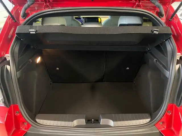 Fiat Grande Panda view 9