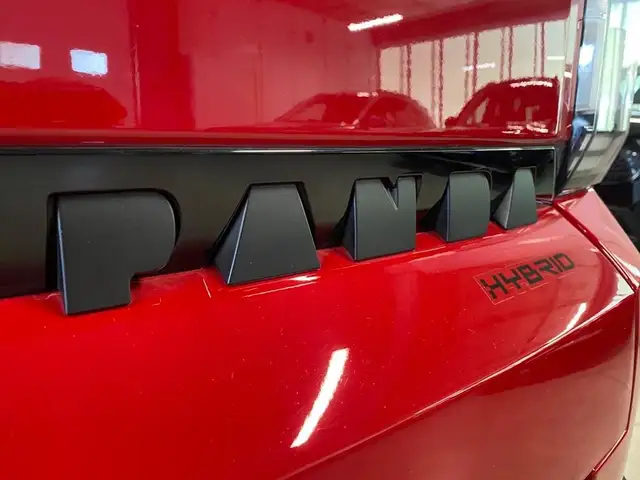 Fiat Grande Panda view 15