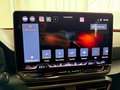 CUPRA Leon ST 2.0 TDI DSG EDGE KAM NAVI 5J GARANTIE Gris - thumbnail 13