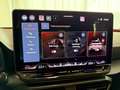 CUPRA Leon ST 2.0 TDI DSG EDGE KAM NAVI 5J GARANTIE Gris - thumbnail 15