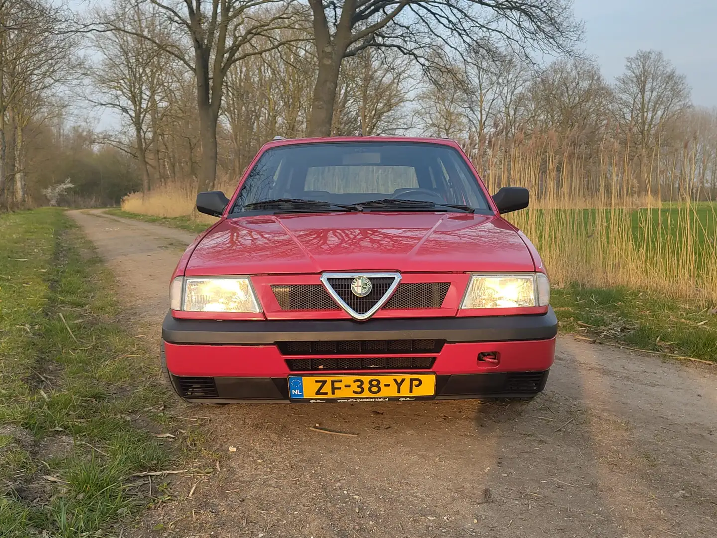 Alfa Romeo 33 Rot - 2