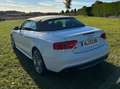 Audi S5 S5 Cabrio S tronic Weiß - thumbnail 1