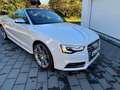 Audi S5 S5 Cabrio S tronic Weiß - thumbnail 3