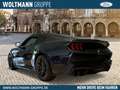 Ford Mustang Dark Horse Fastback 5.0 V8 453PS Brembo Recaro Blau - thumbnail 3