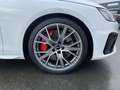 Audi S4 55 TDI q. Tiptr. Matrix LED, ACC, Massa bijela - thumbnail 15