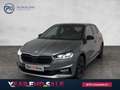 Skoda Fabia Style TSI Grau - thumbnail 1