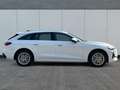 Audi A5 Avant Basis NAVI+PDC+SHZ+EL.HECKKL.+17 LM TFSI ... Blanc - thumbnail 5
