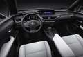 Lexus UX 250h Business 2WD Gris - thumbnail 41