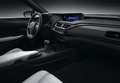 Lexus UX 250h Business 2WD Gris - thumbnail 21
