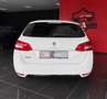 Peugeot 308 308 BlueHDi 130 S&S SW Allure Bianco - thumbnail 6