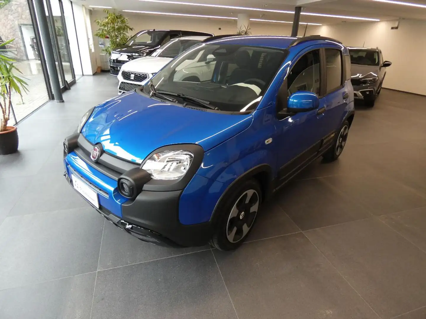 Fiat Panda 1.0 FireFly S&S Hybrid Pandina Azul - 2