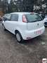 Fiat Punto 1.4 8V 5p. Natural Power Lounge Bianco - thumbnail 4