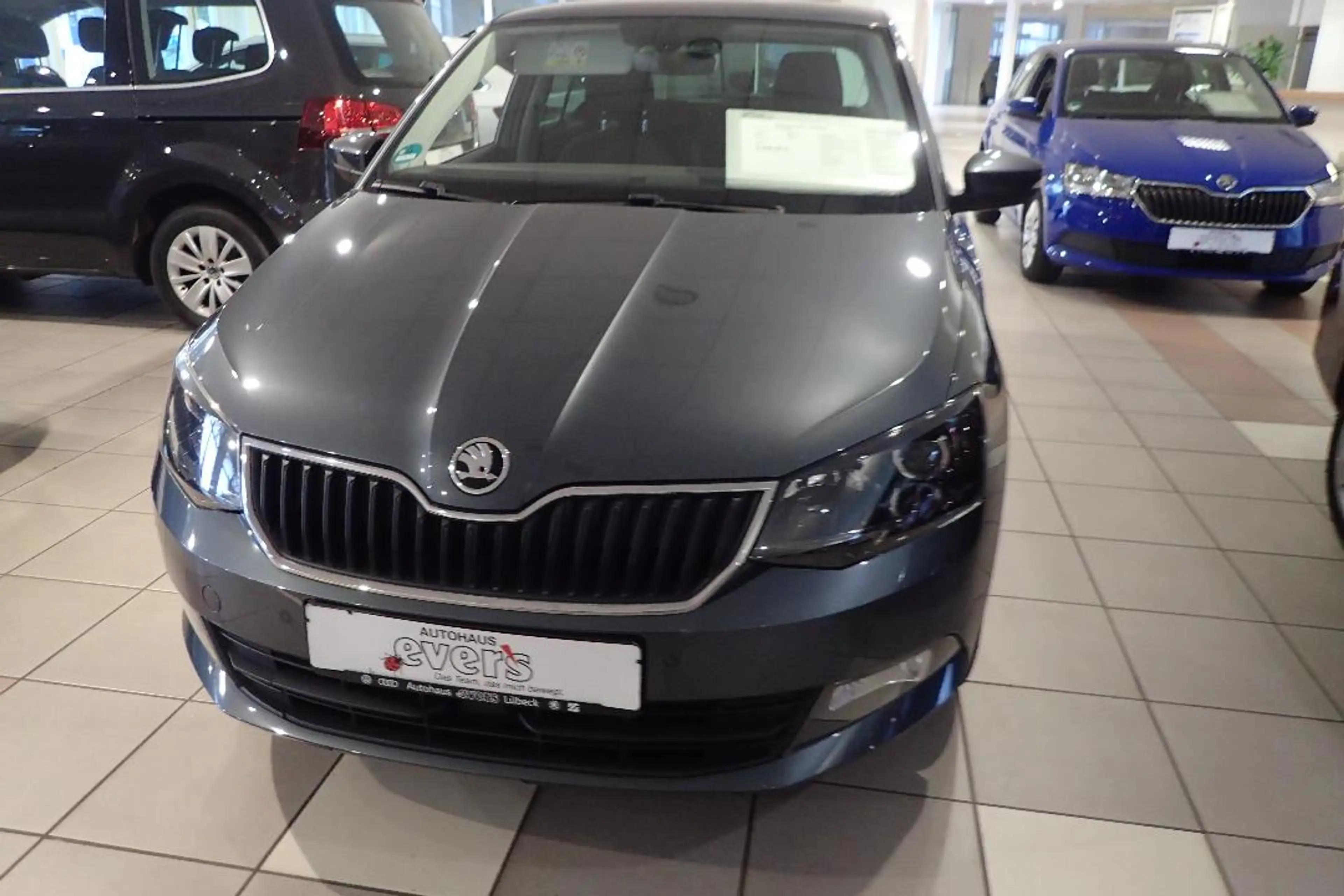 Skoda Fabia Edition  TDI CLIMATRONIC NAVI WINTERPAKET 1.HAND — photo 3