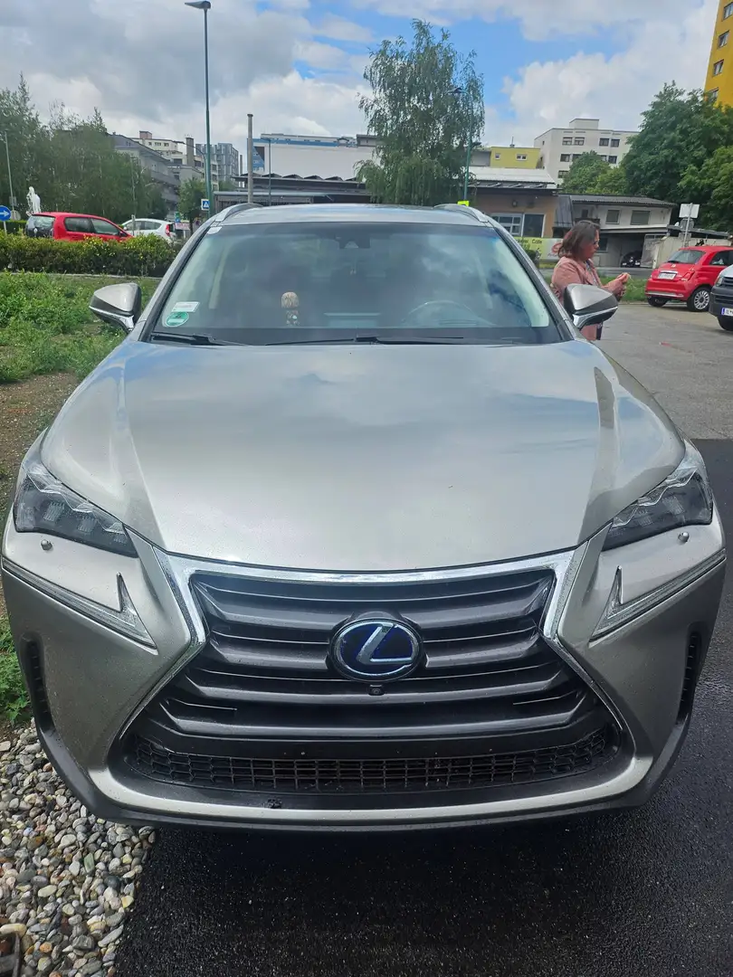 Lexus NX 300h NX 300h Executive Hybrid Aut. Executive Gold - 2