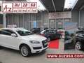 Audi A6 55 TFSIe quattro S tronic Competition Gris - thumbnail 34