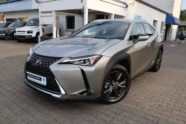 Lexus UX 250h UX 250h Executive Line|NAVIGATION|LEDER|R-CAM|