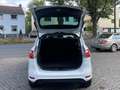 Ford B-Max Titanium Weiß - thumbnail 15