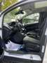 Ford B-Max Titanium Weiß - thumbnail 17