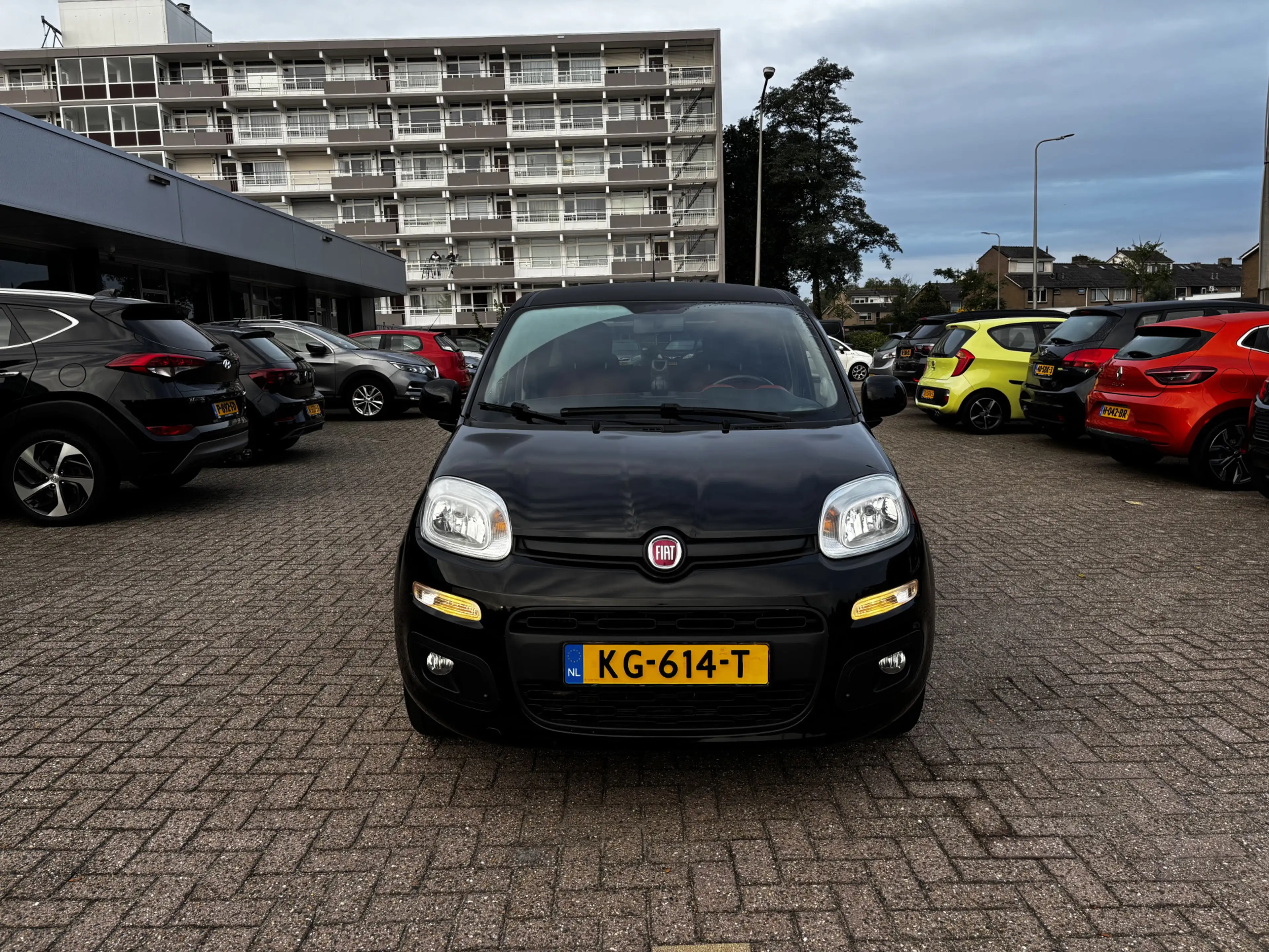 Fiat Panda 0.9 TwinAir Lounge — photo 3