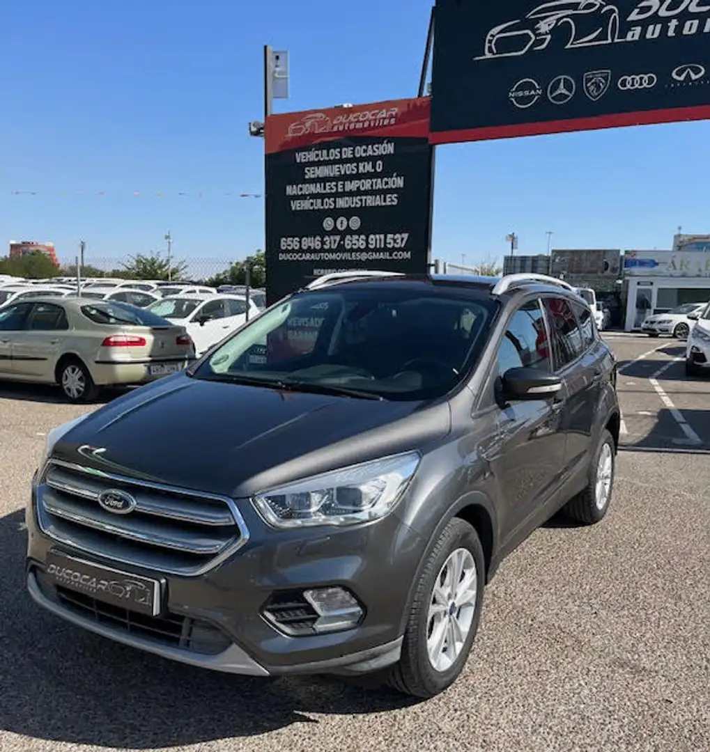 Ford Kuga 2.0TDCi Auto S&S Titanium 4x2 150 Gris - 2