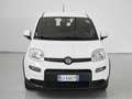 Fiat Panda Panda III 2021 1.0 firefly hybrid Sport s - thumbnail 4