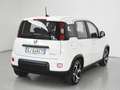 Fiat Panda Panda III 2021 1.0 firefly hybrid Sport s - thumbnail 6