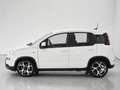 Fiat Panda Panda III 2021 1.0 firefly hybrid Sport s - thumbnail 2