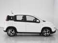 Fiat Panda Panda III 2021 1.0 firefly hybrid Sport s - thumbnail 5