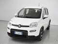 Fiat Panda Panda III 2021 1.0 firefly hybrid Sport s - thumbnail 1