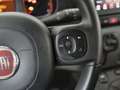 Fiat Panda Panda III 2021 1.0 firefly hybrid Sport s - thumbnail 9