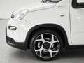 Fiat Panda Panda III 2021 1.0 firefly hybrid Sport s - thumbnail 3