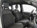 Fiat Panda Panda III 2021 1.0 firefly hybrid Sport s - thumbnail 16
