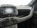 Fiat Panda Panda III 2021 1.0 firefly hybrid Sport s - thumbnail 11