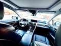 Lexus RX 450h RX 450h Luxury Blanco - thumbnail 9
