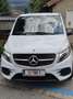 Mercedes-Benz V 300 Weiß - thumbnail 2