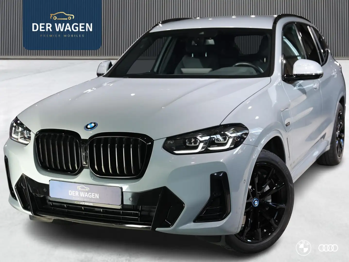 BMW X3 xDr30e M SPORT BLACK ED. / ACC / HARMANKARDON / CA Gris - 1