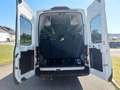 Ford Transit Variobus 2,0 EcoBlue L4H3 350 Trend Weiß - thumbnail 8
