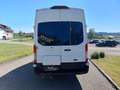 Ford Transit Variobus 2,0 EcoBlue L4H3 350 Trend Weiß - thumbnail 6