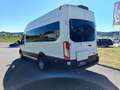 Ford Transit Variobus 2,0 EcoBlue L4H3 350 Trend Weiß - thumbnail 7