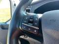 Ford Transit Variobus 2,0 EcoBlue L4H3 350 Trend Weiß - thumbnail 22