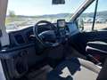 Ford Transit Variobus 2,0 EcoBlue L4H3 350 Trend Weiß - thumbnail 17
