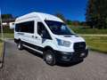 Ford Transit Variobus 2,0 EcoBlue L4H3 350 Trend Weiß - thumbnail 4