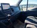 Ford Transit Variobus 2,0 EcoBlue L4H3 350 Trend Weiß - thumbnail 30