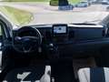 Ford Transit Variobus 2,0 EcoBlue L4H3 350 Trend Weiß - thumbnail 16