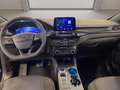 Ford Kuga 2.0 ecoblue ST-Line 2wd 120cv auto Nero - thumbnail 10