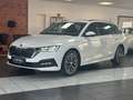 Skoda Octavia Combi Clever 2.0 TDI/AHK/PANO/LED/VIRT./ Wit - thumbnail 1